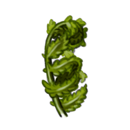 Fougère-à-l'autruche