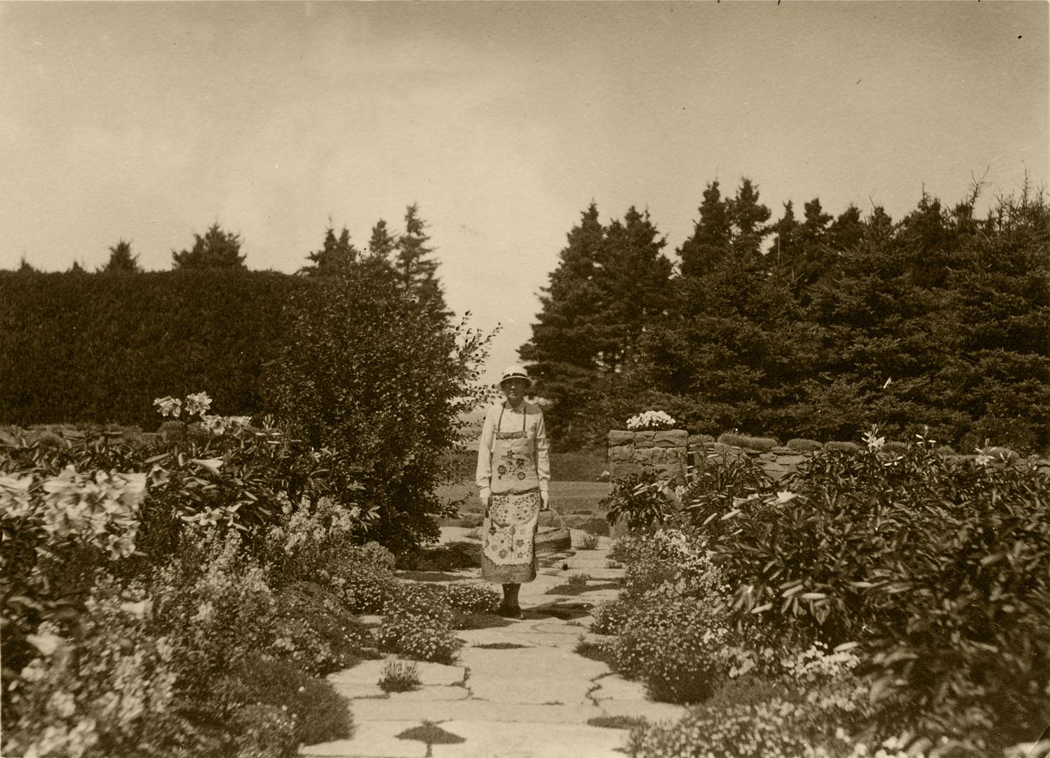 In this black-and-white archival photograph, Elsie is posing at the centre of the Long Walk. She is holding a gardening basket in her left hand. Behind her, the row of spruce trees opens up to reveal the St. Lawrence River. This opening aligns with the large stone path of the Long Walk. On both sides of the path, blooming white lilies dominate the garden.