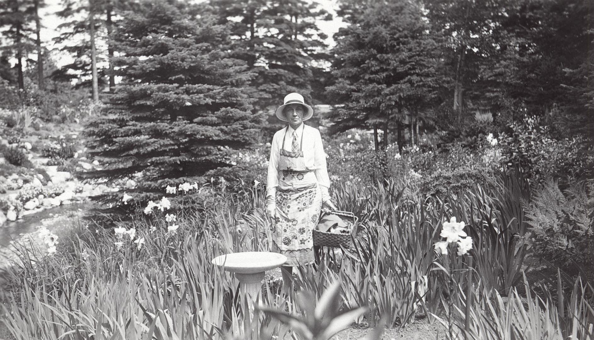 Sur cette photographie en noir et blanc, Elsie porte un tablier de jardinage. Elle prend la pose dans le Jardin du ruisseau, entourée de lis. Debout près d’un bain pour oiseaux, elle tient un panier dans la main gauche. Au fond, quelques épinettes bordent le ruisseau Page. On peut facilement imaginer les lis qui parfument l’air et l’eau qui coule tranquillement.