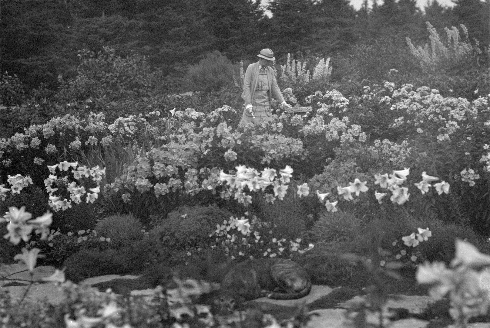 Elsie pose dans l’Allée royale où elle observe un cadran solaire. Plus d’une cinquantaine de lis en fleurs l’entourent. Leur parfum voyage avec la brise du fleuve Saint-Laurent. Au premier plan de cette photographie en noir et blanc, son chien est couché sur les grandes pierres du sentier.