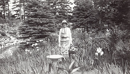 Sur cette photographie en noir et blanc, Elsie porte un tablier de jardinage. Elle prend la pose dans le Jardin du ruisseau, entourée de lis. Debout près d’un bain pour oiseaux, elle tient un panier dans la main gauche. Au fond, quelques épinettes bordent le ruisseau Page. On peut facilement imaginer les lis qui parfument l’air et l’eau qui coule tranquillement.