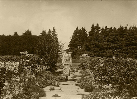 In this black-and-white archival photograph, Elsie is posing at the centre of the Long Walk. She is holding a gardening basket in her left hand. Behind her, the row of spruce trees opens up to reveal the St. Lawrence River. This opening aligns with the large stone path of the Long Walk. On both sides of the path, blooming white lilies dominate the garden.