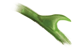 Lorem ipsum dolor sit amet