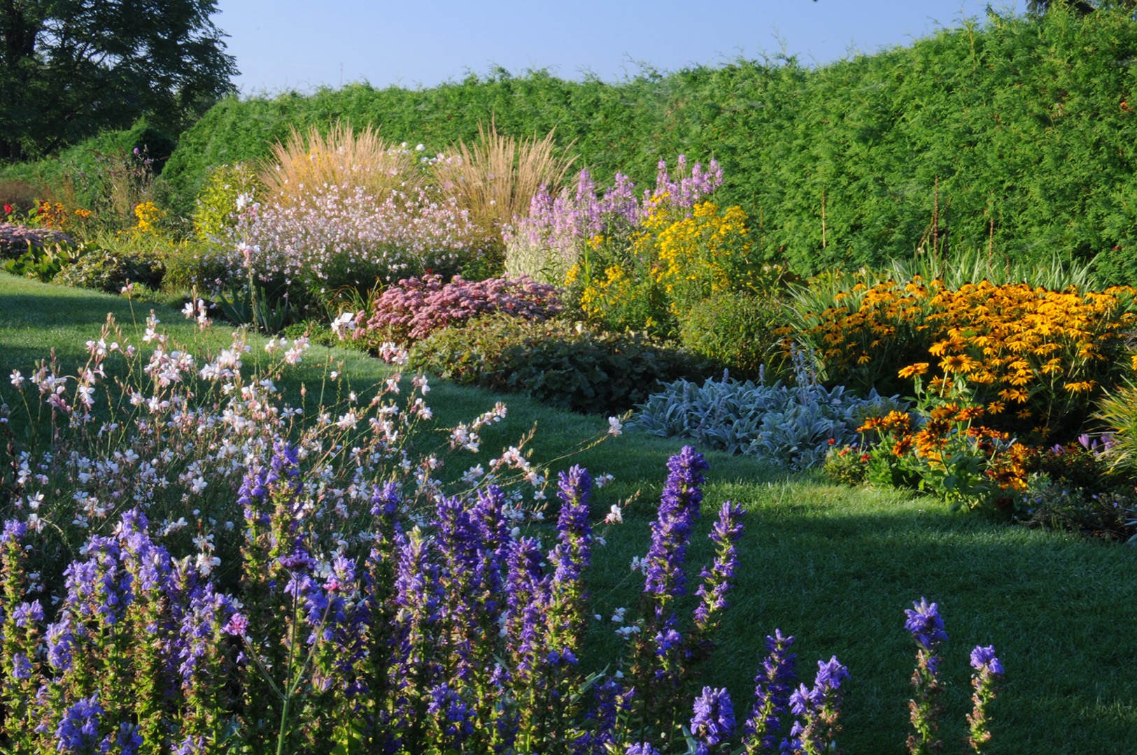 In this photograph, a grassy path separates two flowerbeds. The one in the background features a variety of brightly coloured plants, with yellow, orange, and purple tones dominating. The flowerbed in the foreground is filled with delphiniums bearing vibrant violet blossoms.