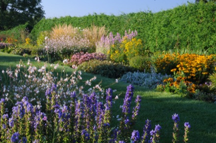 In this photograph, a grassy path separates two flowerbeds. The one in the background features a variety of brightly coloured plants, with yellow, orange, and purple tones dominating. The flowerbed in the foreground is filled with delphiniums bearing vibrant violet blossoms.