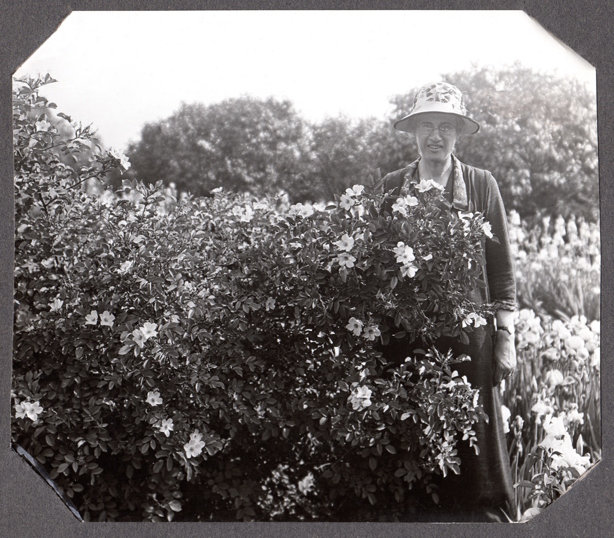 In this black-and-white photo, Isabella Preston is wearing a hat and smiling softly. She is posing near a rose bush, with the roses in full bloom.