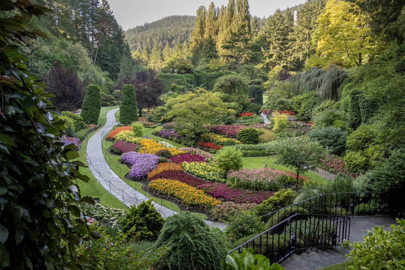 Sur cette photographie couleur, le Jardin encaissé se démarque par son dénivelé et un sentier de gravier qui le traverse. Plusieurs buissons et arbustes parsèment ce jardin où les couleurs orangées et vertes se distinguent. Les fleurs y ajoutent de beaux tons de rouge, d’orange et de violet.