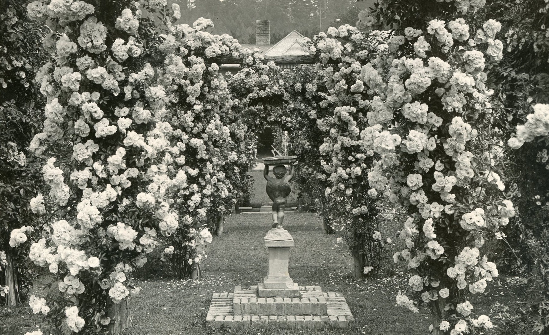 In this black-and-white photograph, a cherub holds a sundial at the centre of the composition. The cherub faces away from the camera. It stands on a podium surrounded by rose bushes. These rose bushes form a pathway leading to a house visible in the background.