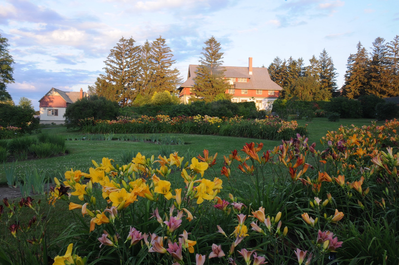 Photo des jardins ornementaux de la Ferme expérimentale où un bâtiment en briques rouges est en arrière-plan. Elle est visible à travers des buissons et arbres verts. En premier plan, une platebande d'hémérocalles jaunes et oranges en fleur est présente. 