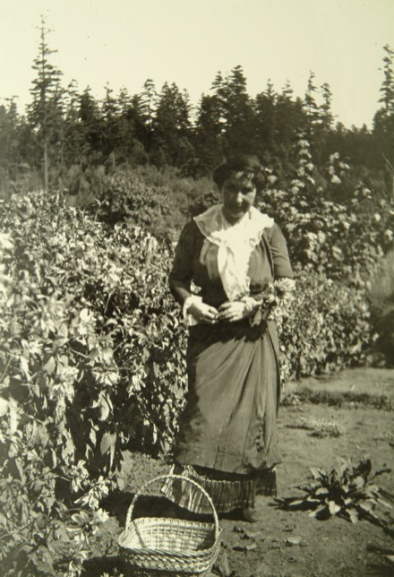Jennie Butchart se trouve au centre de cette photographie en noir et blanc. Elle fixe un panier de jardinage à ses pieds. À sa droite, il y a des fleurs. Une rangée de conifères orne l’arrière-plan.