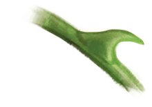 Lorem ipsum dolor sit amet